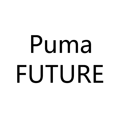 Puma FUTURE